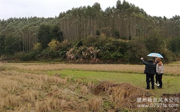 滨海新区陈老师带着爱徒寻龙点穴